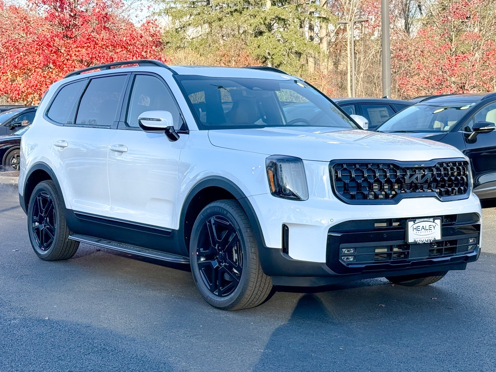 Photo view of 2025 Kia Telluride in White