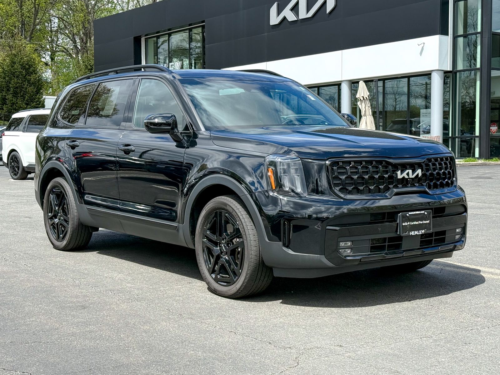 Photo view of 2024 Kia Telluride in Black
