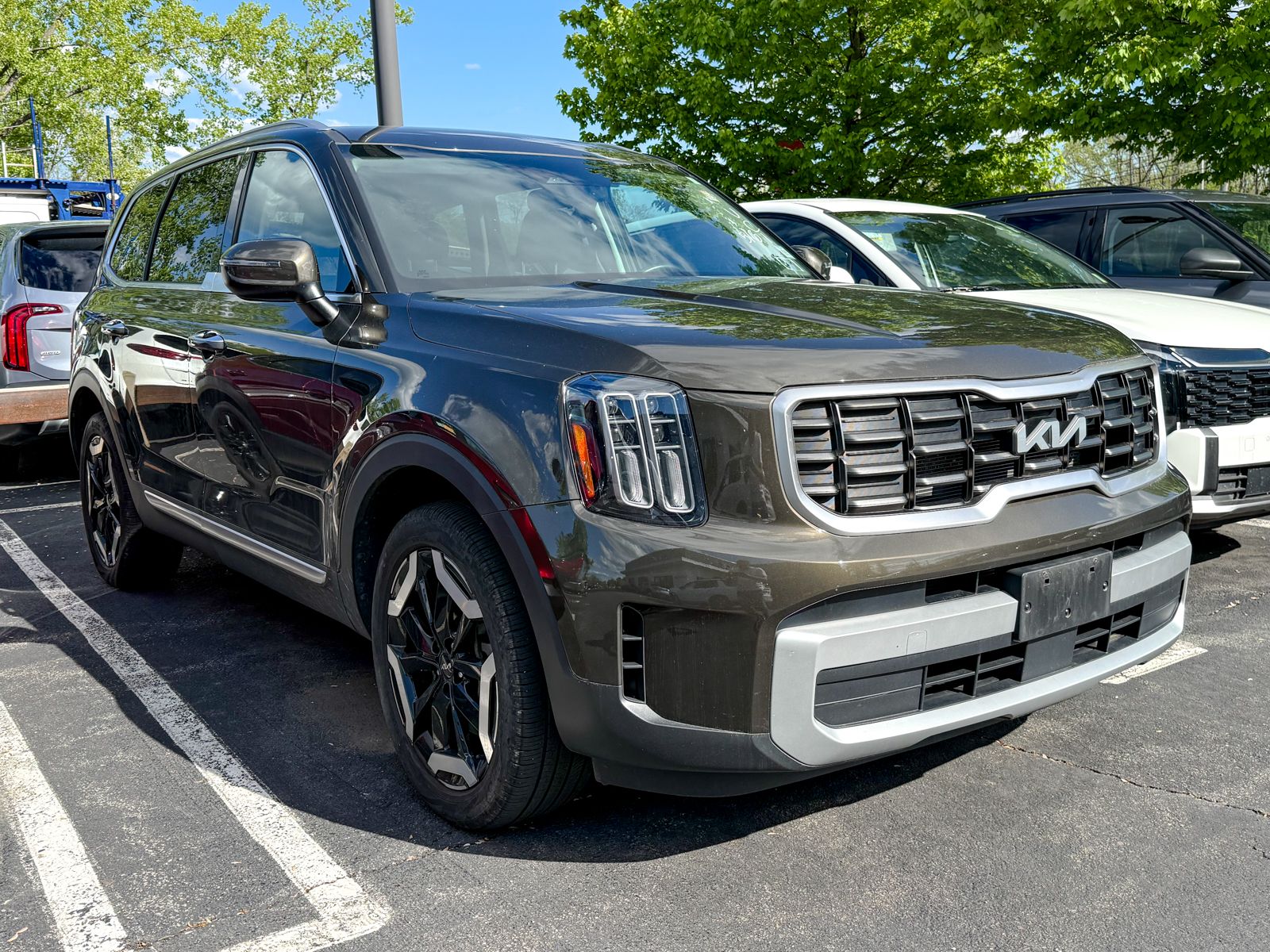 Photo view of 2023 Kia Telluride in Green