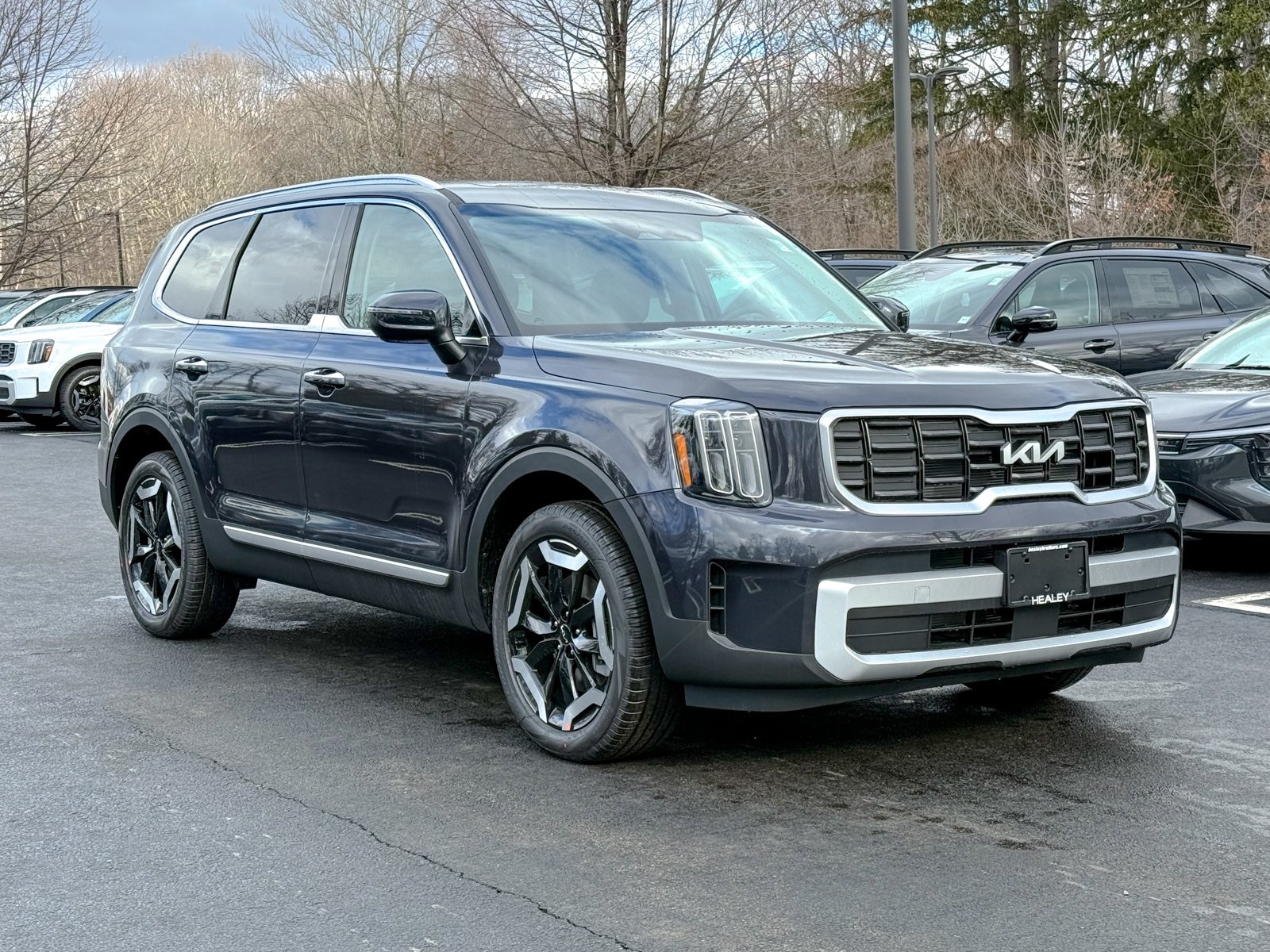 Photo view of 2025 Kia Telluride in Gray