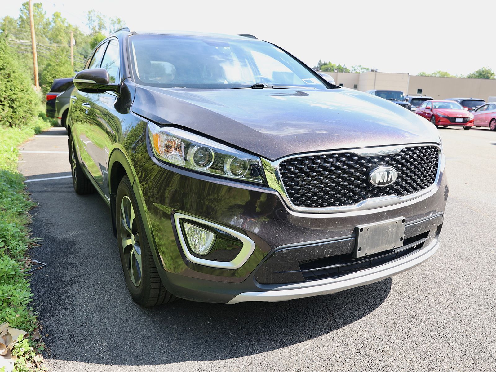 Photo view of 2017 Kia Sorento in Brown