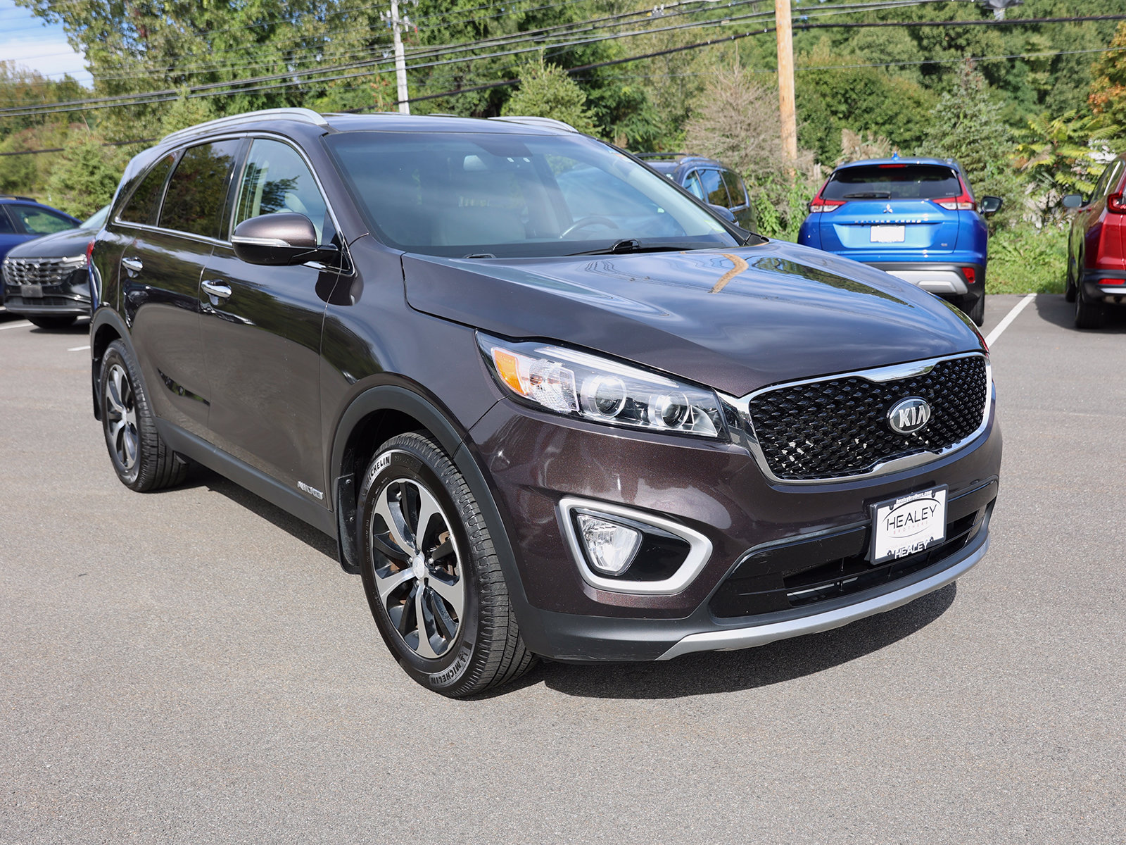 Photo view of 2017 Kia Sorento in Brown