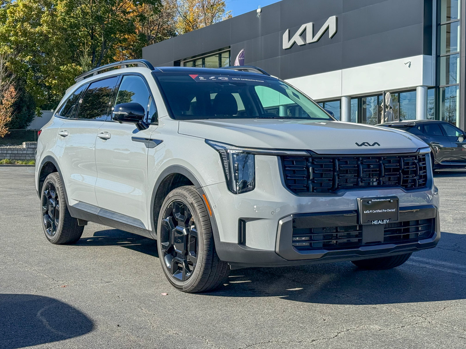 Photo view of 2025 Kia Sorento in Gray