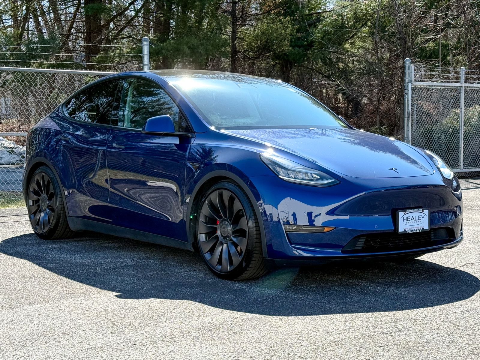 Photo view of 2020 Tesla Model Y in Blue