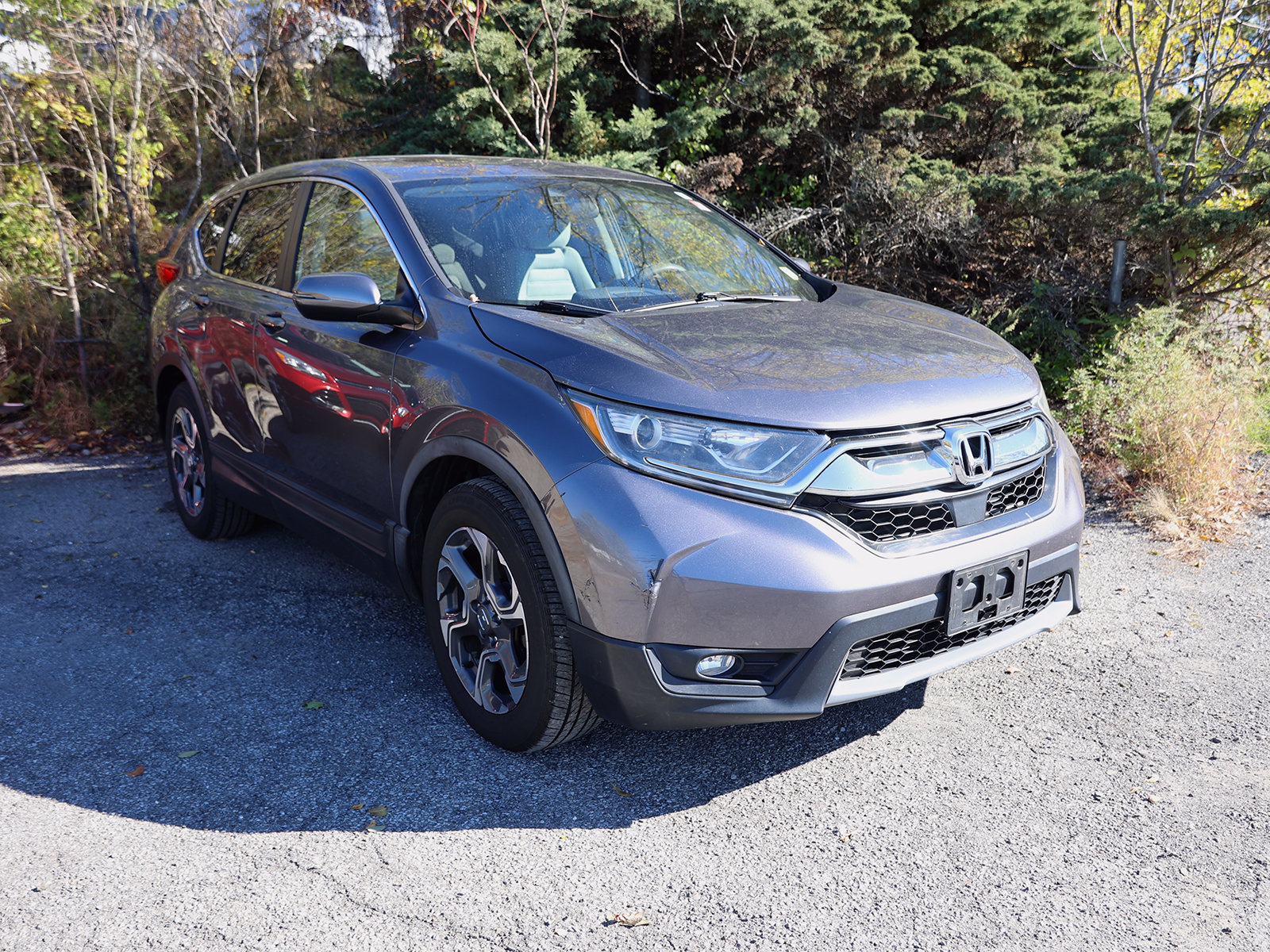 Photo view of 2018 Honda CR-V in Gray