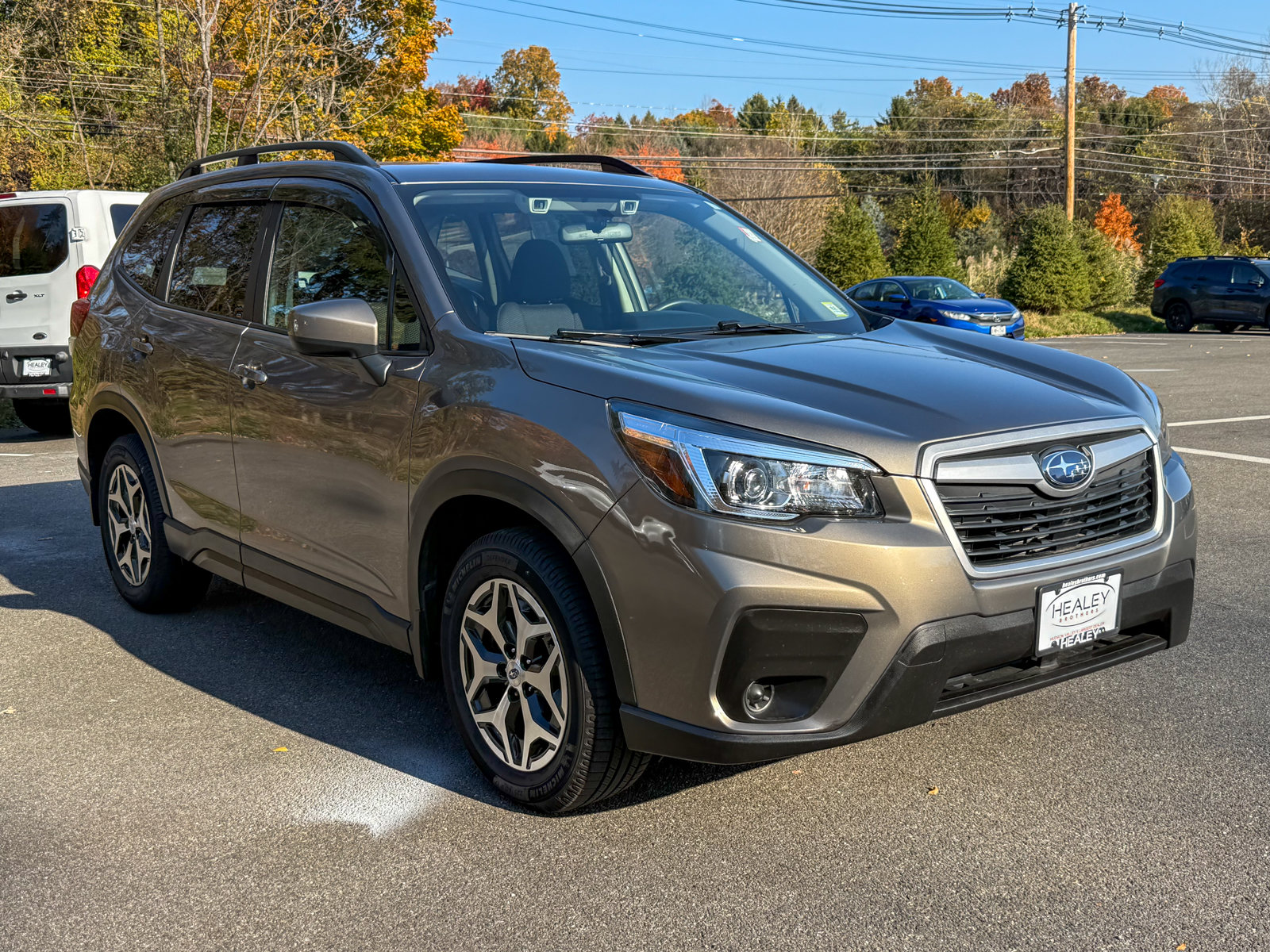 Photo view of 2019 Subaru Forester in Brown