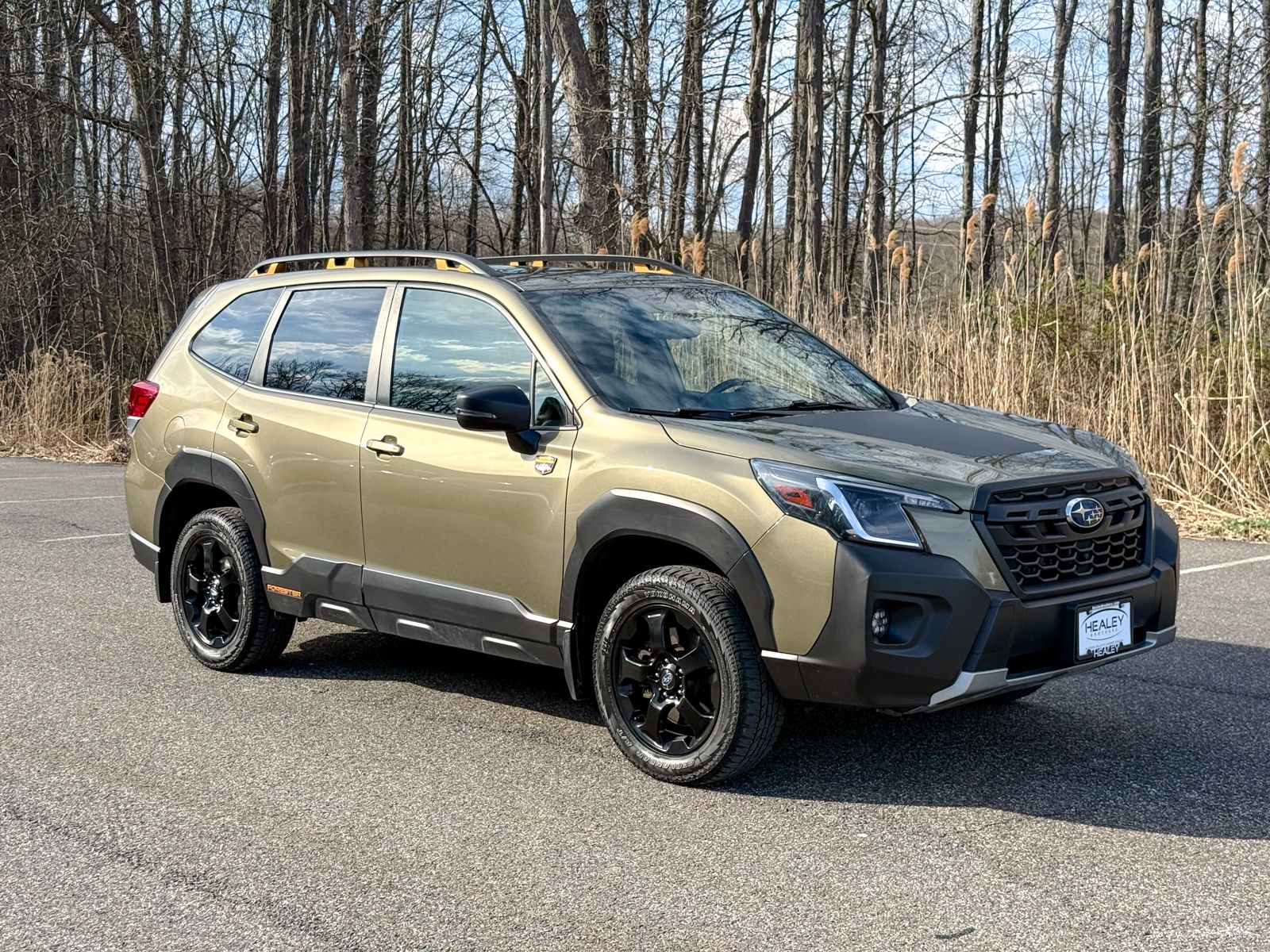 Photo view of 2023 Subaru Forester in Green