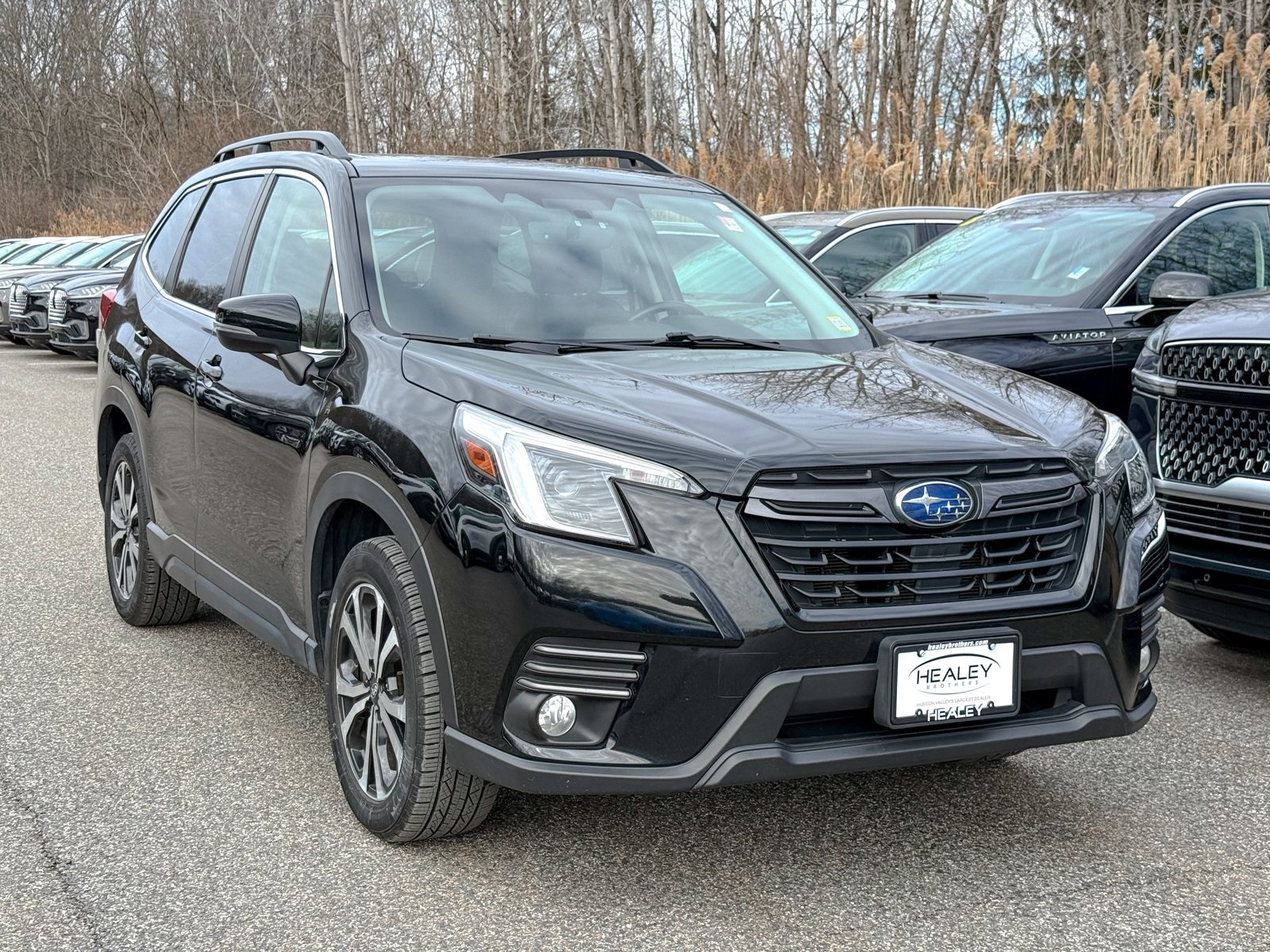 Photo view of 2022 Subaru Forester in Black