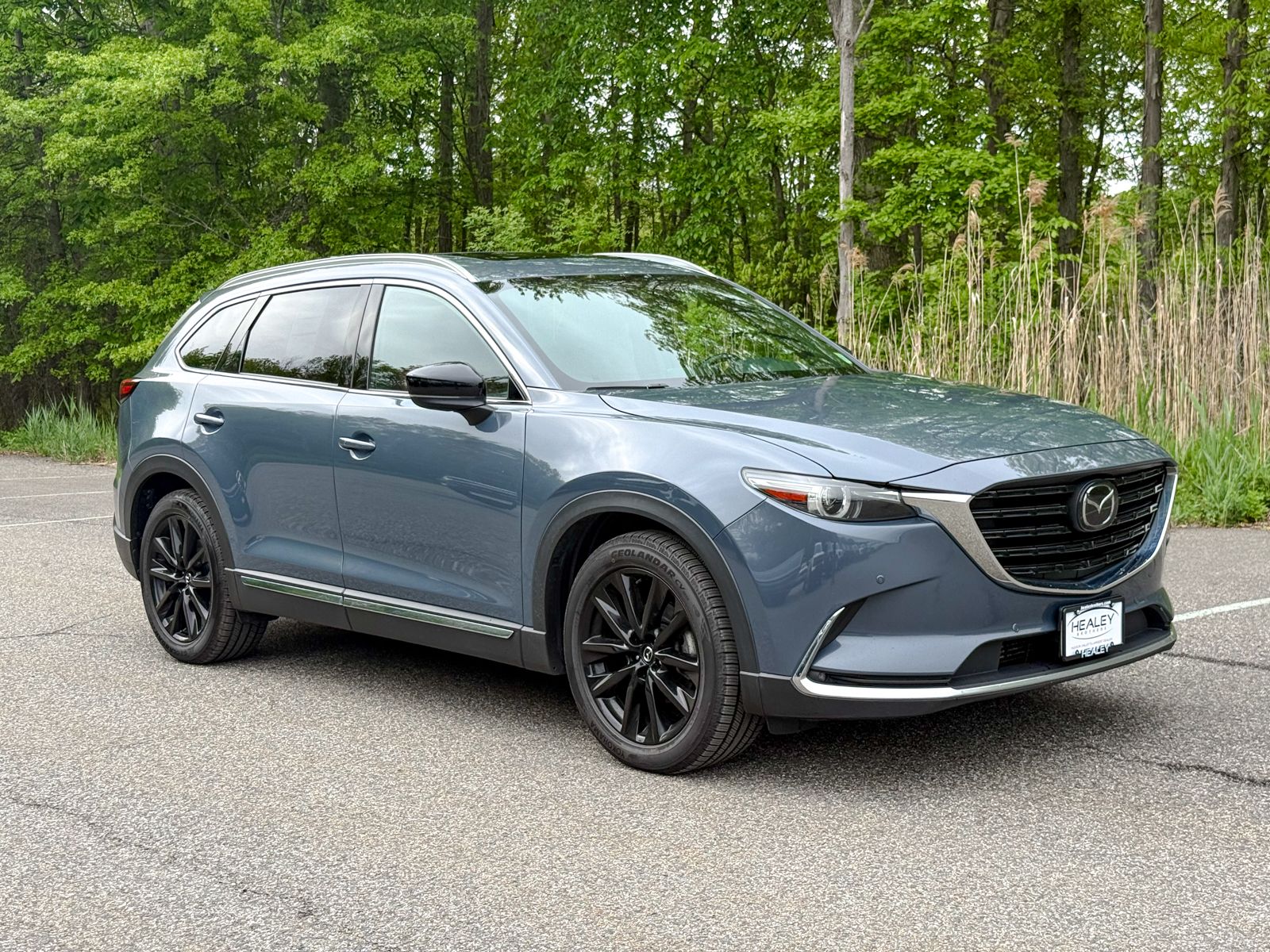 Photo view of 2022 Mazda CX-9 in Gray