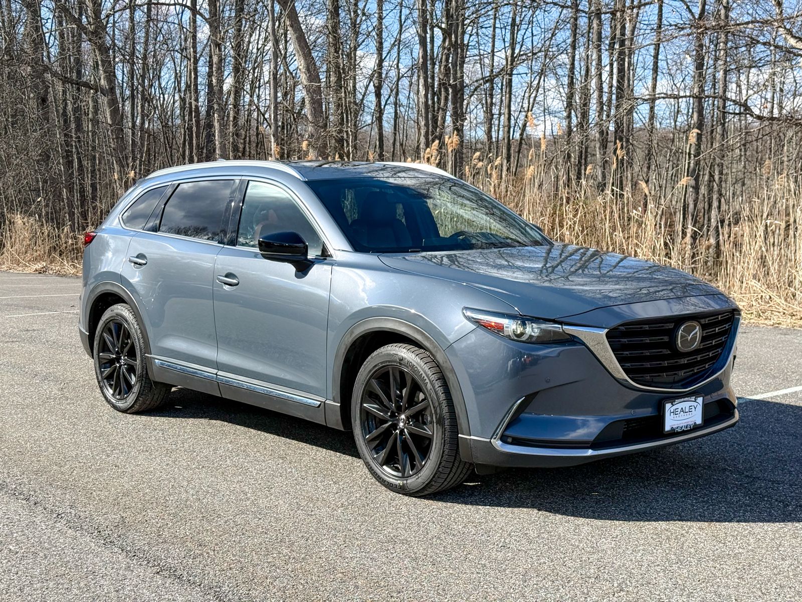 Photo view of 2022 Mazda CX-9 in Gray