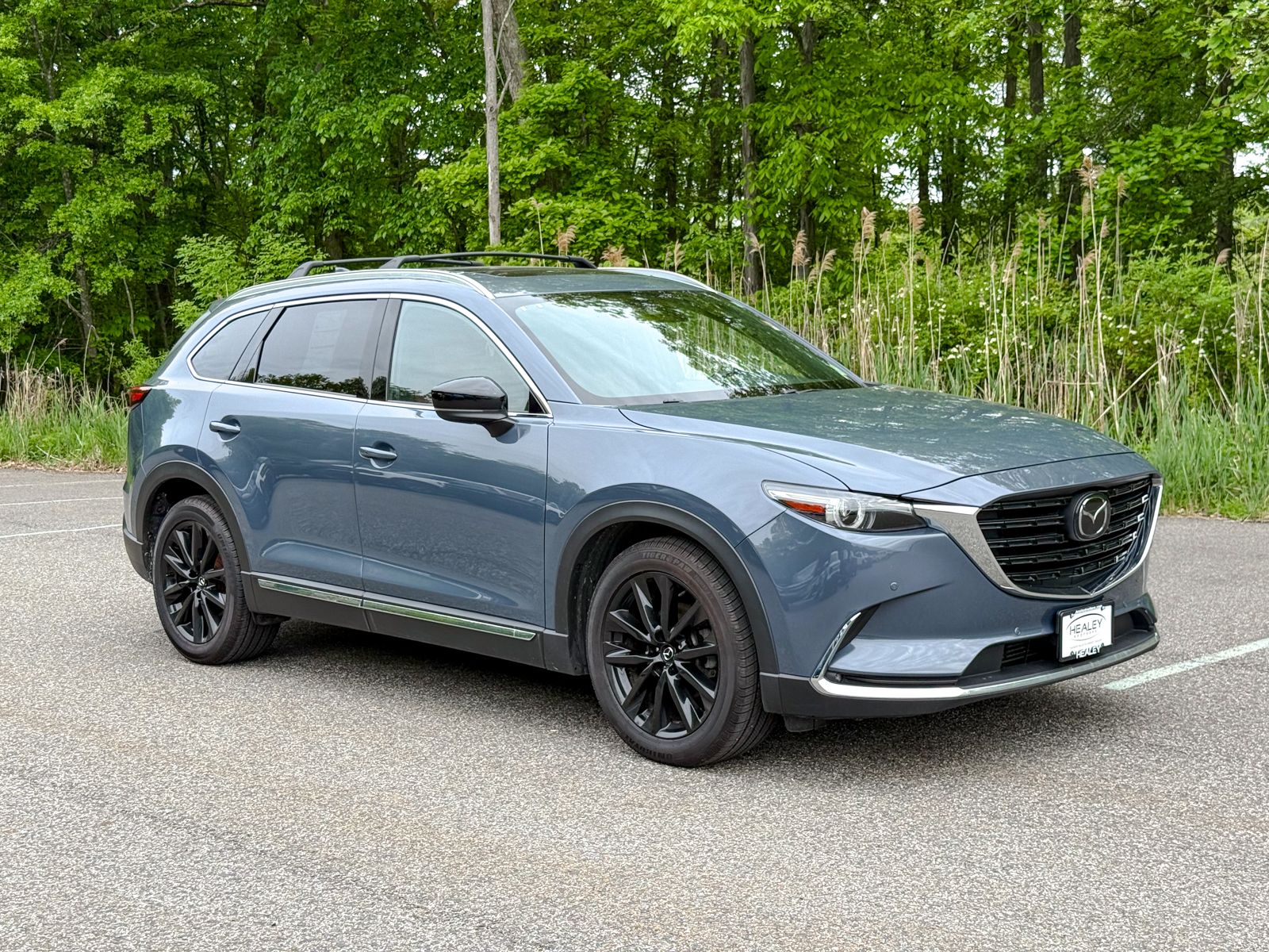 Photo view of 2022 Mazda CX-9 in Gray