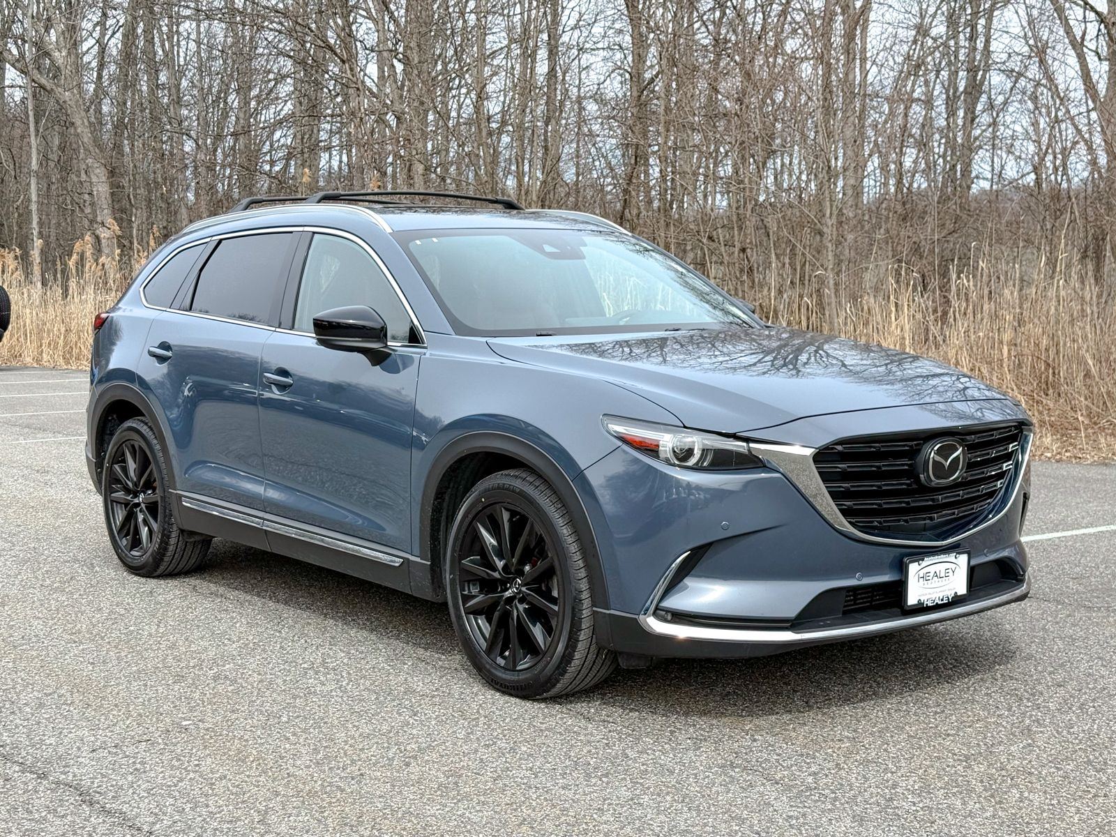 Photo view of 2022 Mazda CX-9 in Gray