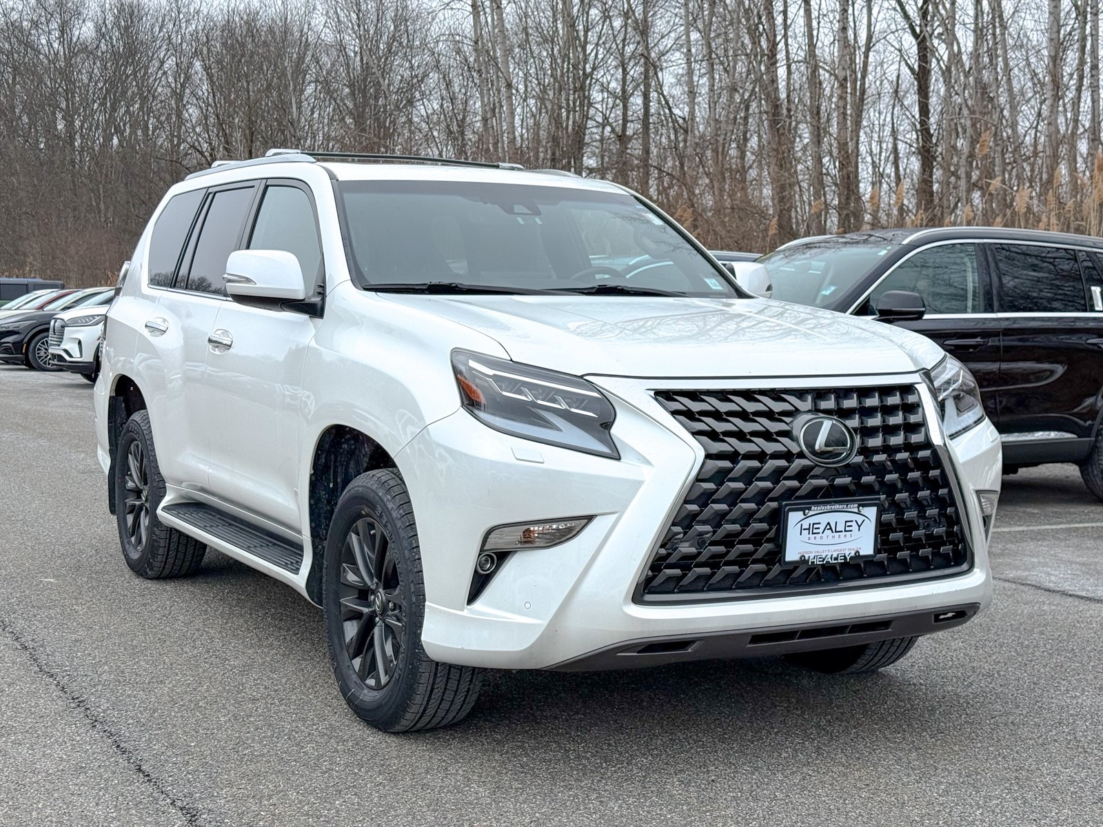 Photo view of 2023 Lexus GX in White