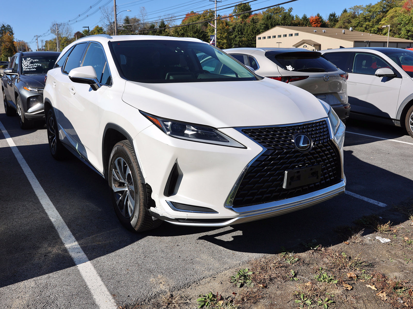 Photo view of 2020 Lexus RX in White
