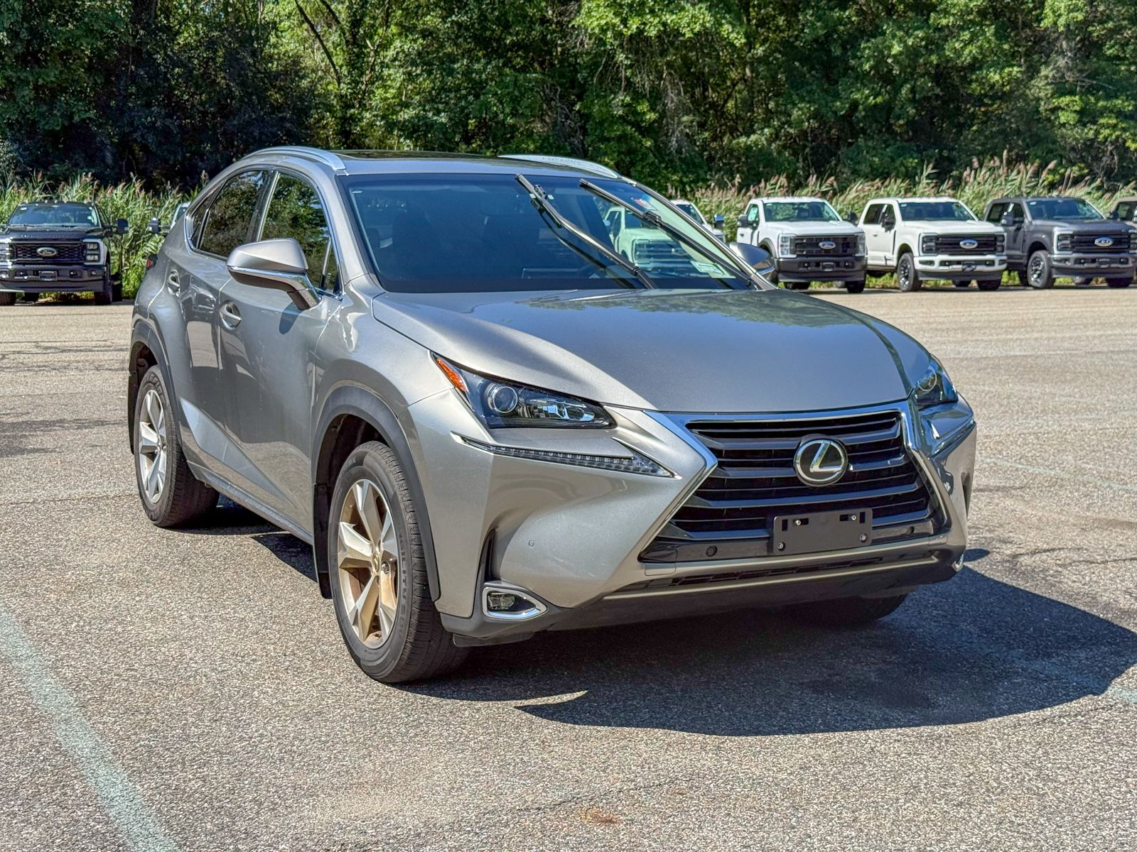 Photo view of 2017 Lexus NX in
