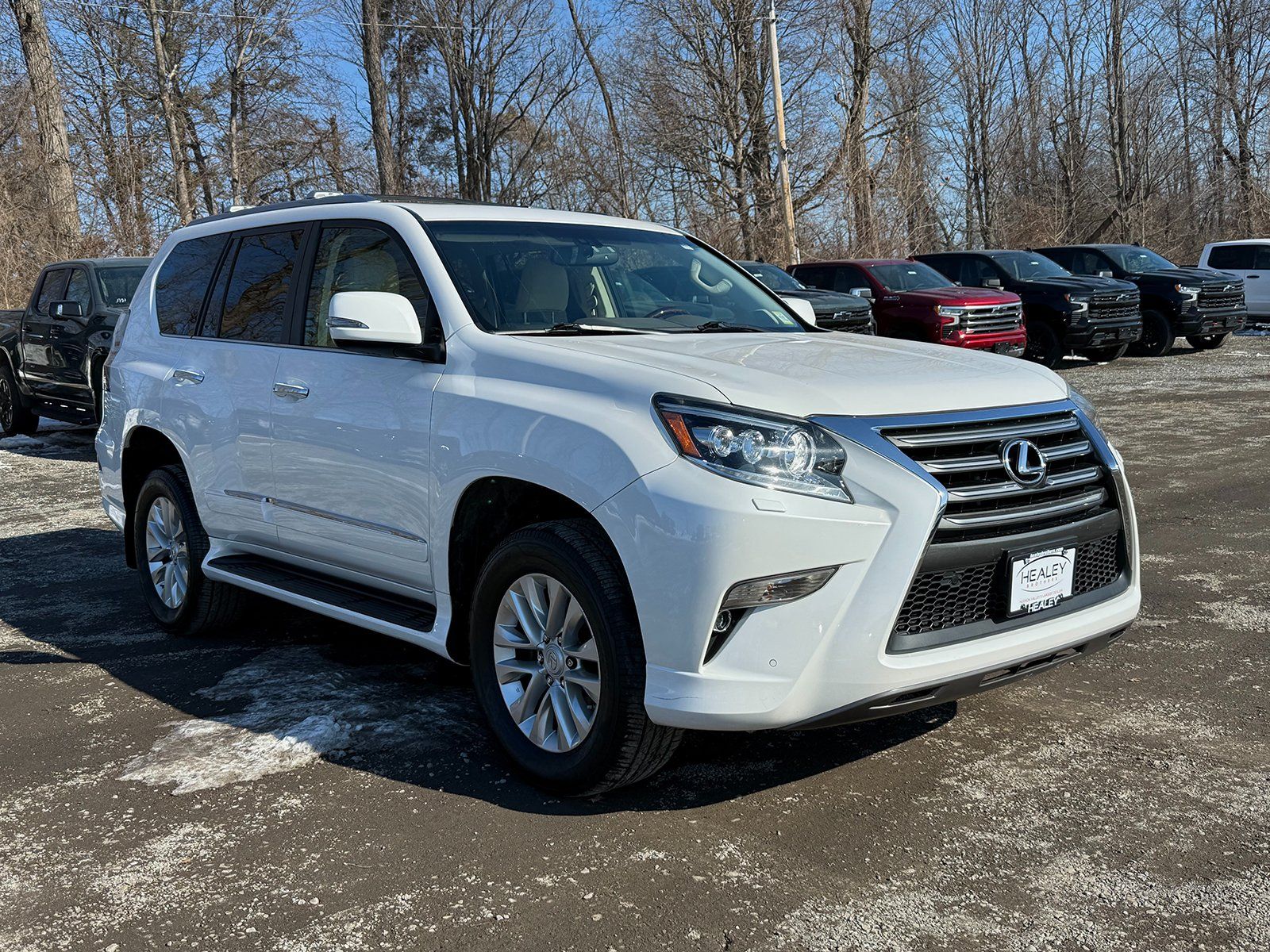Photo view of 2017 Lexus GX in White