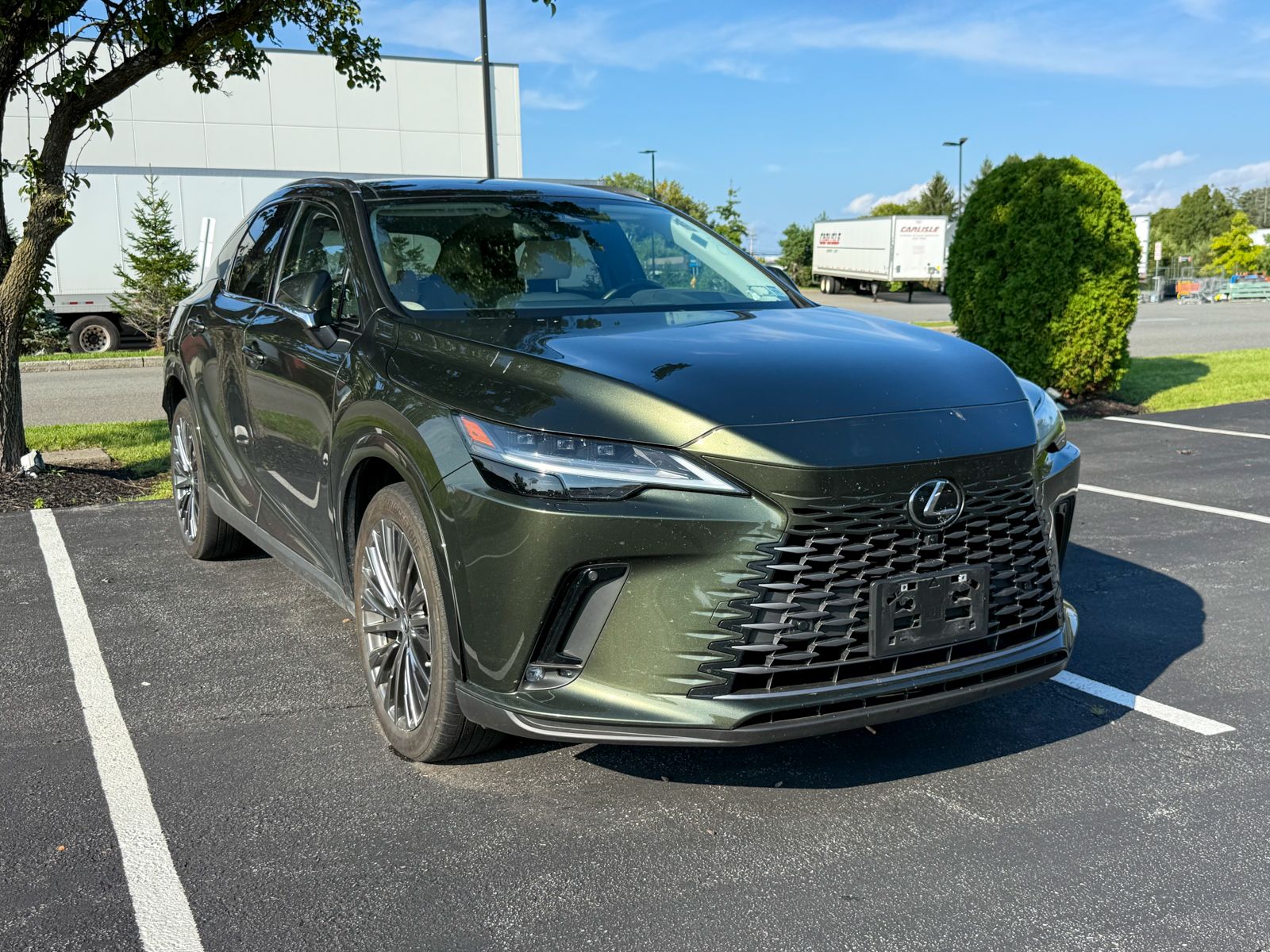 Photo view of 2024 Lexus RX in Green