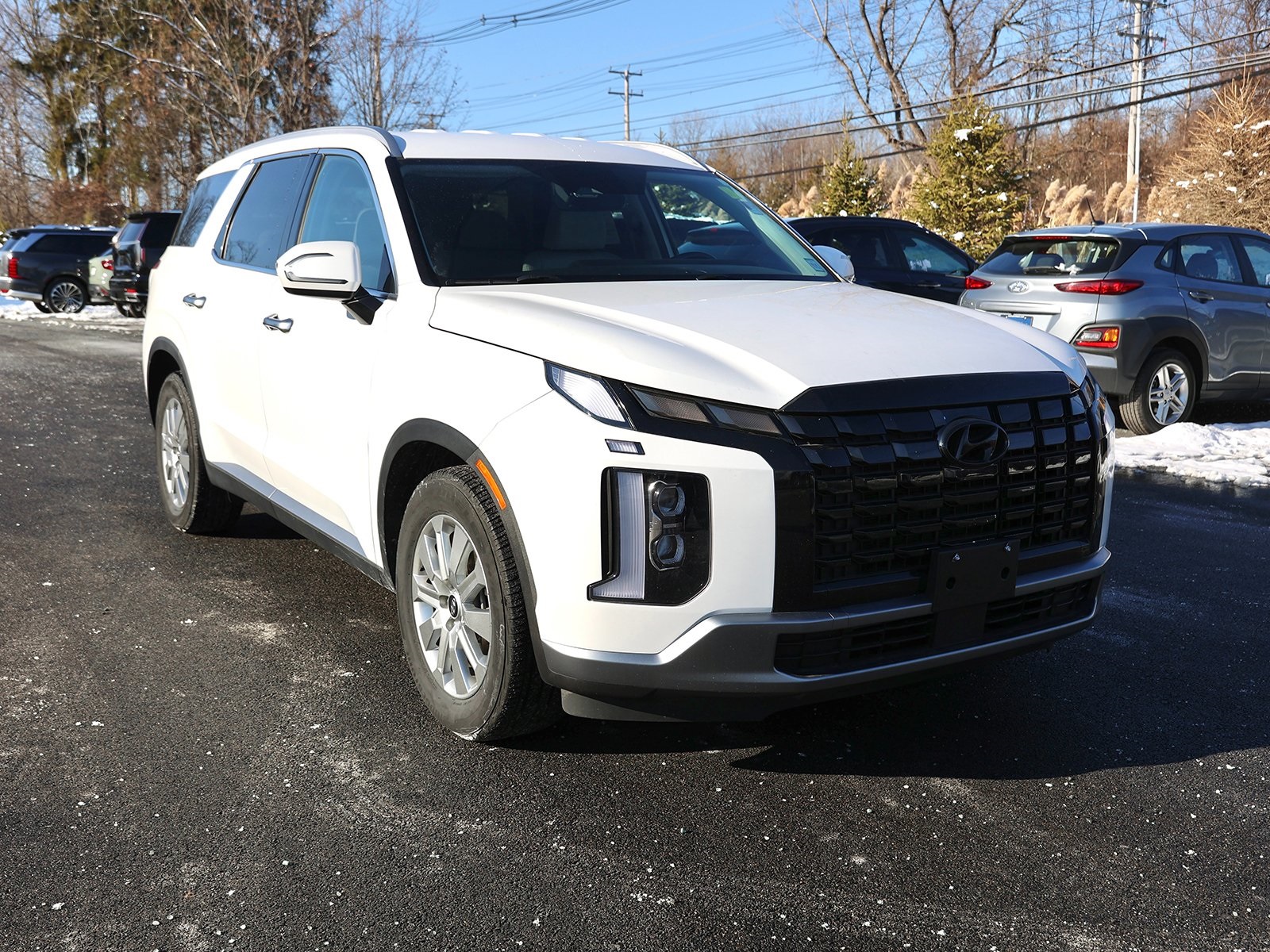 Photo view of 2024 Hyundai Palisade in White