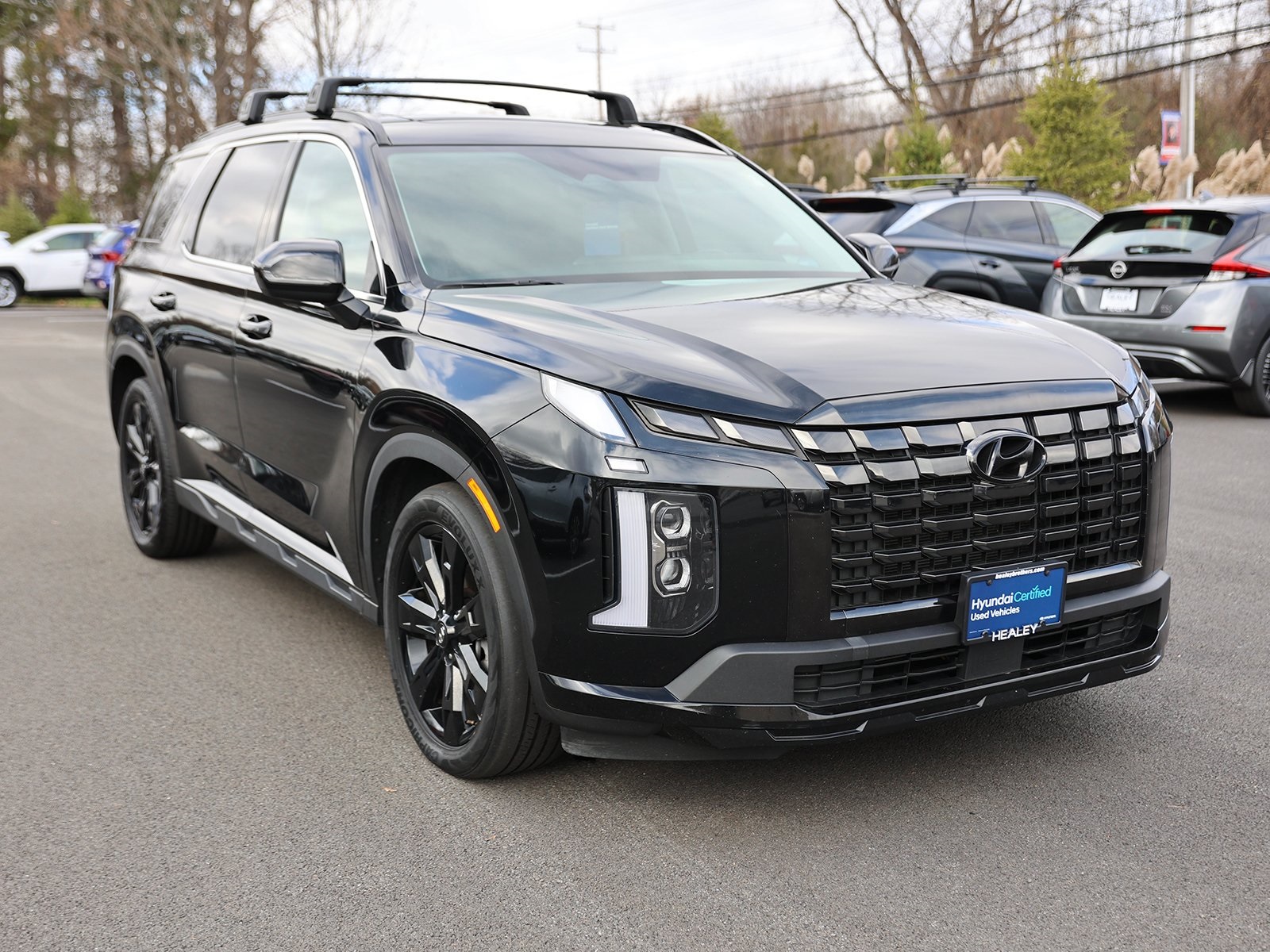 Photo view of 2023 Hyundai Palisade in Black