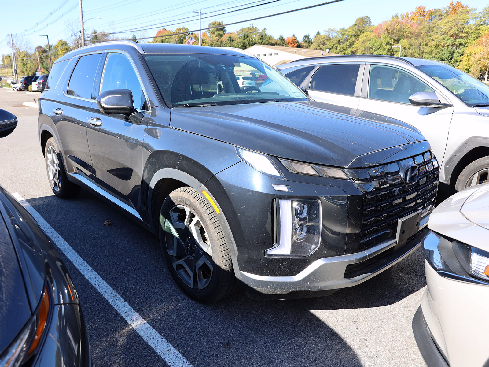 Photo view of 2024 Hyundai Palisade in Blue