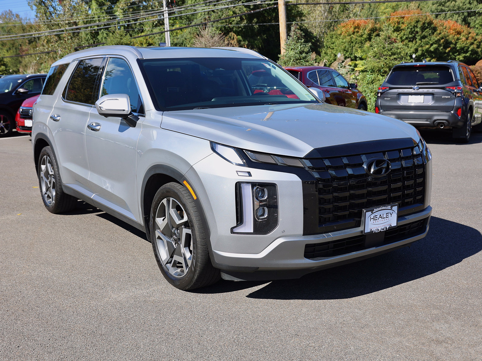 Photo view of 2023 Hyundai Palisade in Silver