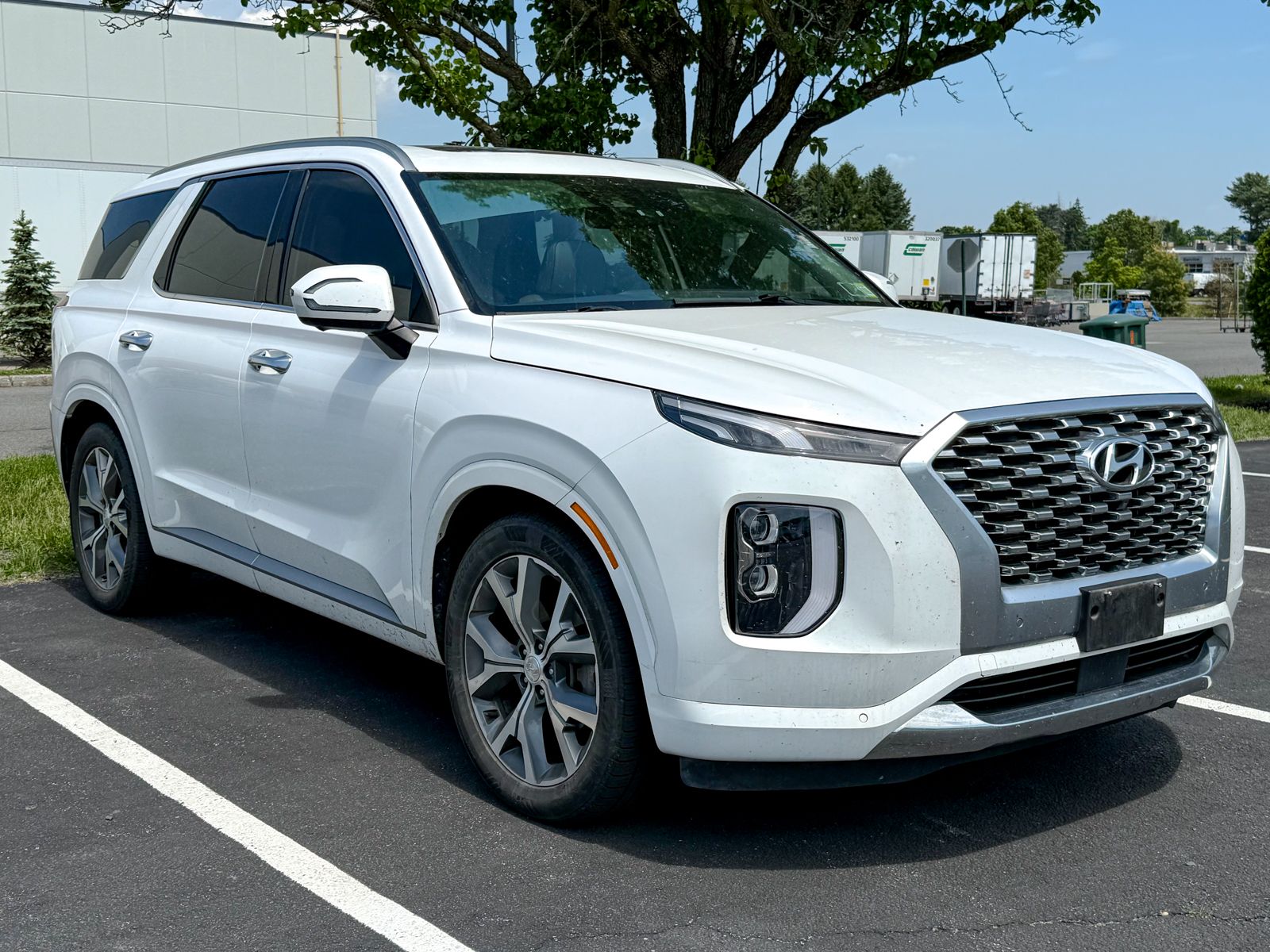 Photo view of 2021 Hyundai Palisade in White