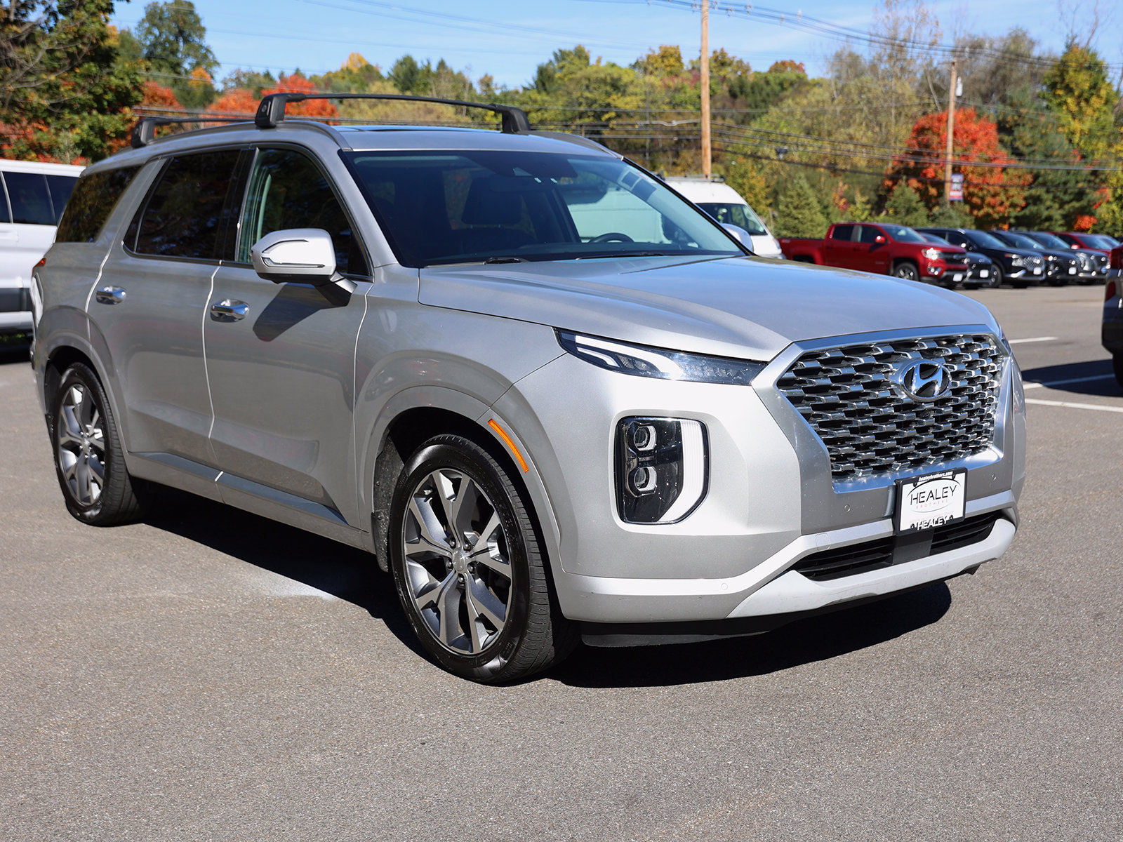 Photo view of 2022 Hyundai Palisade in Silver