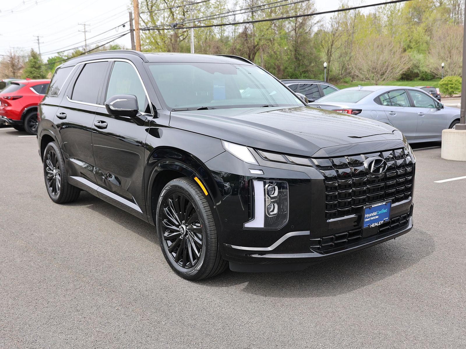 Photo view of 2024 Hyundai Palisade in Black