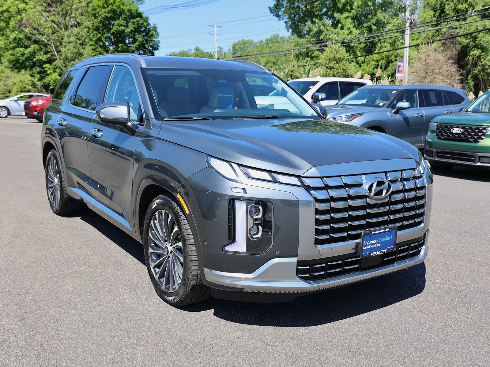 Photo view of 2024 Hyundai Palisade in Gray