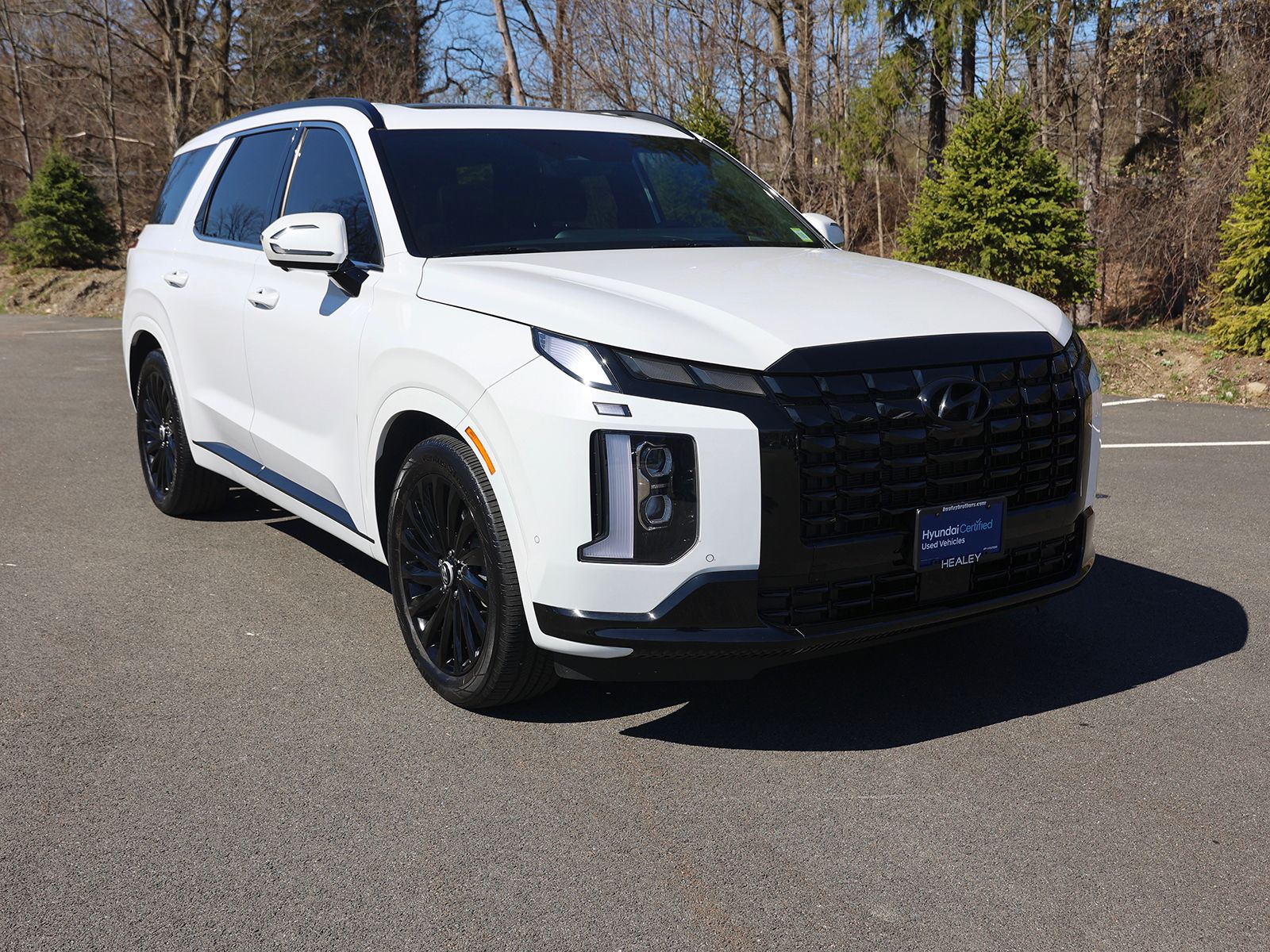 Photo view of 2025 Hyundai Palisade in White