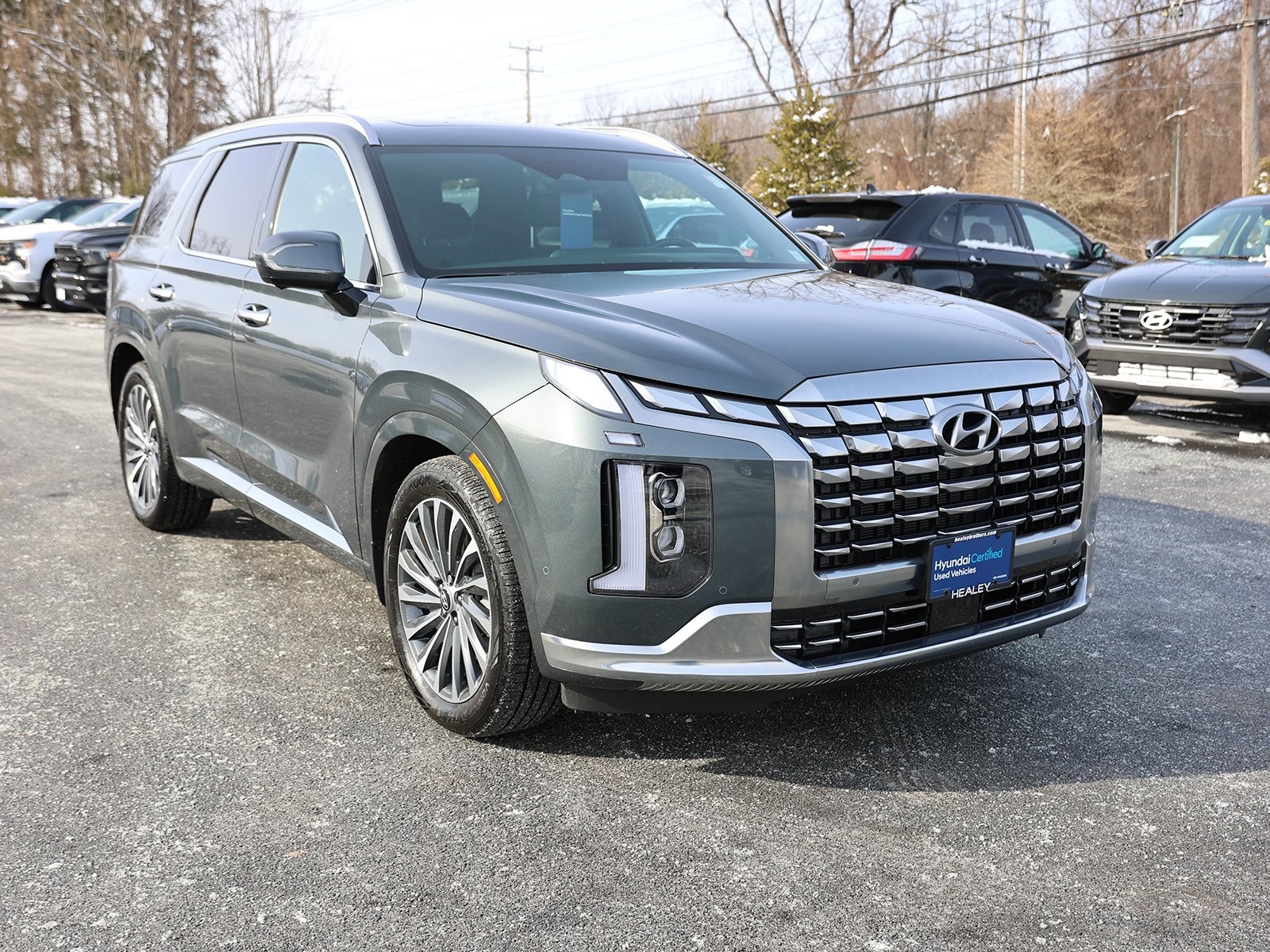 Photo view of 2025 Hyundai Palisade in Gray