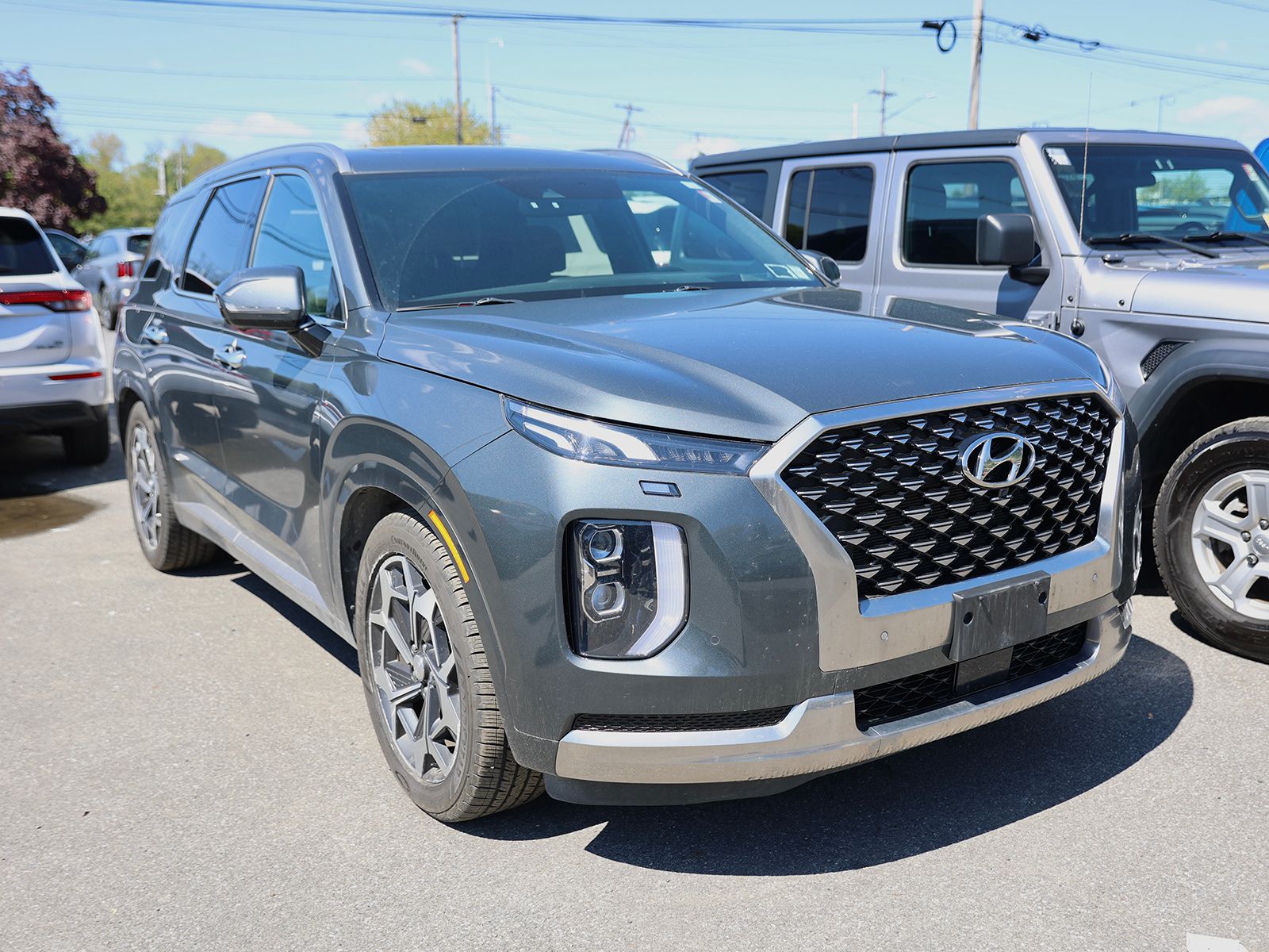 Photo view of 2022 Hyundai Palisade in Gray