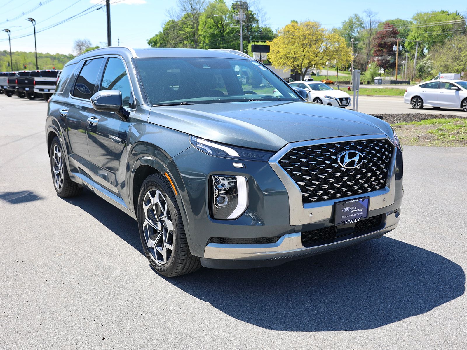 Photo view of 2022 Hyundai Palisade in Gray