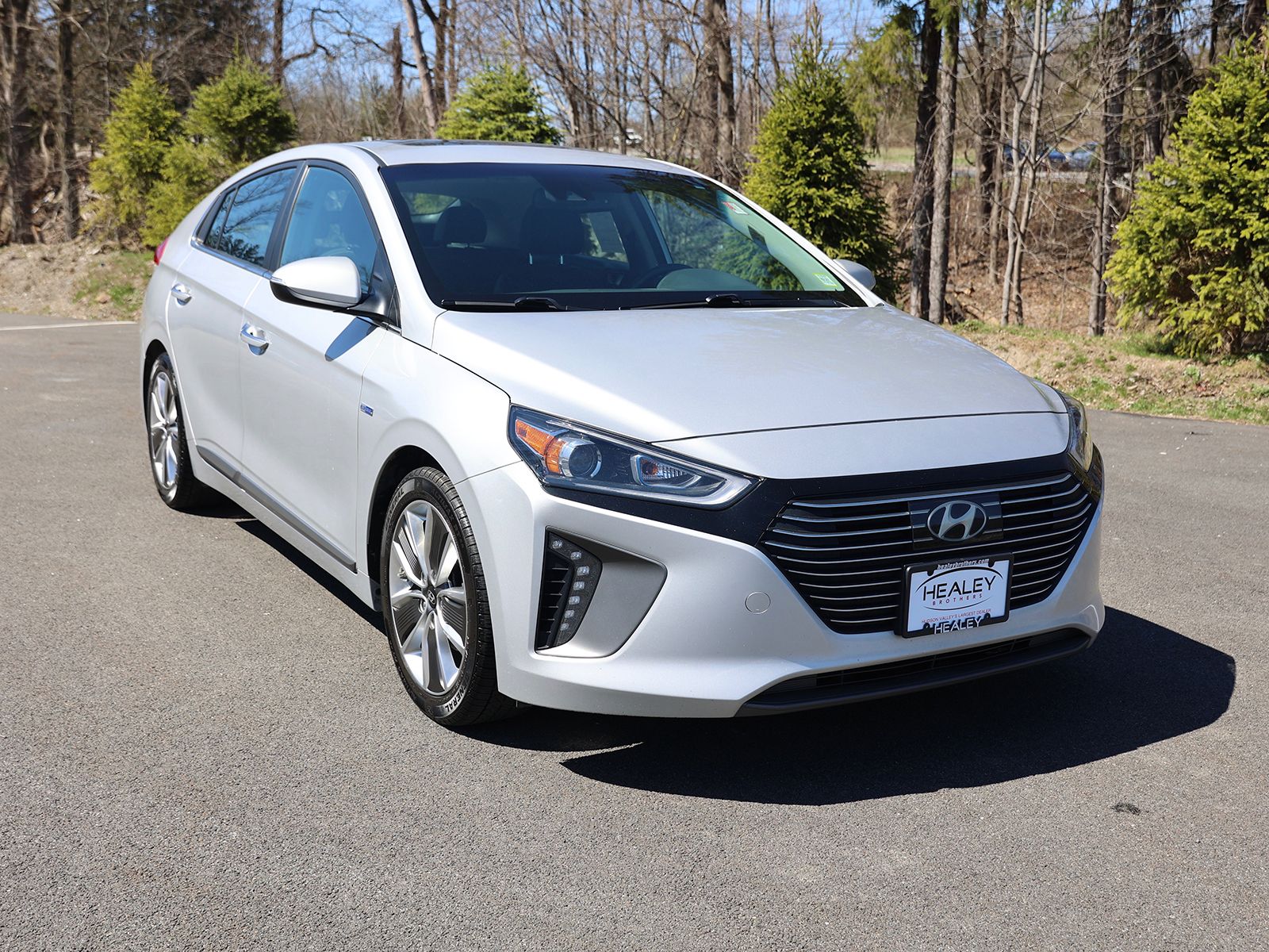 Photo view of 2019 Hyundai Ioniq Hybrid in Silver