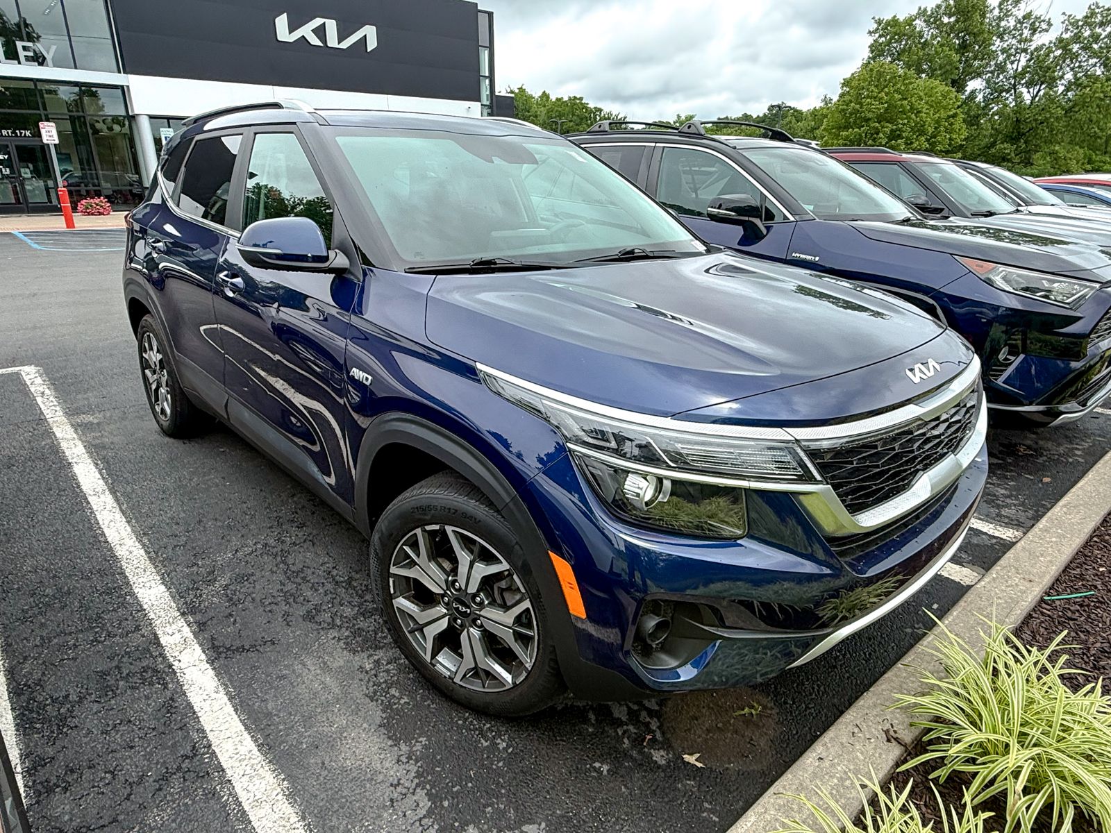 Photo view of 2023 Kia Seltos in Blue