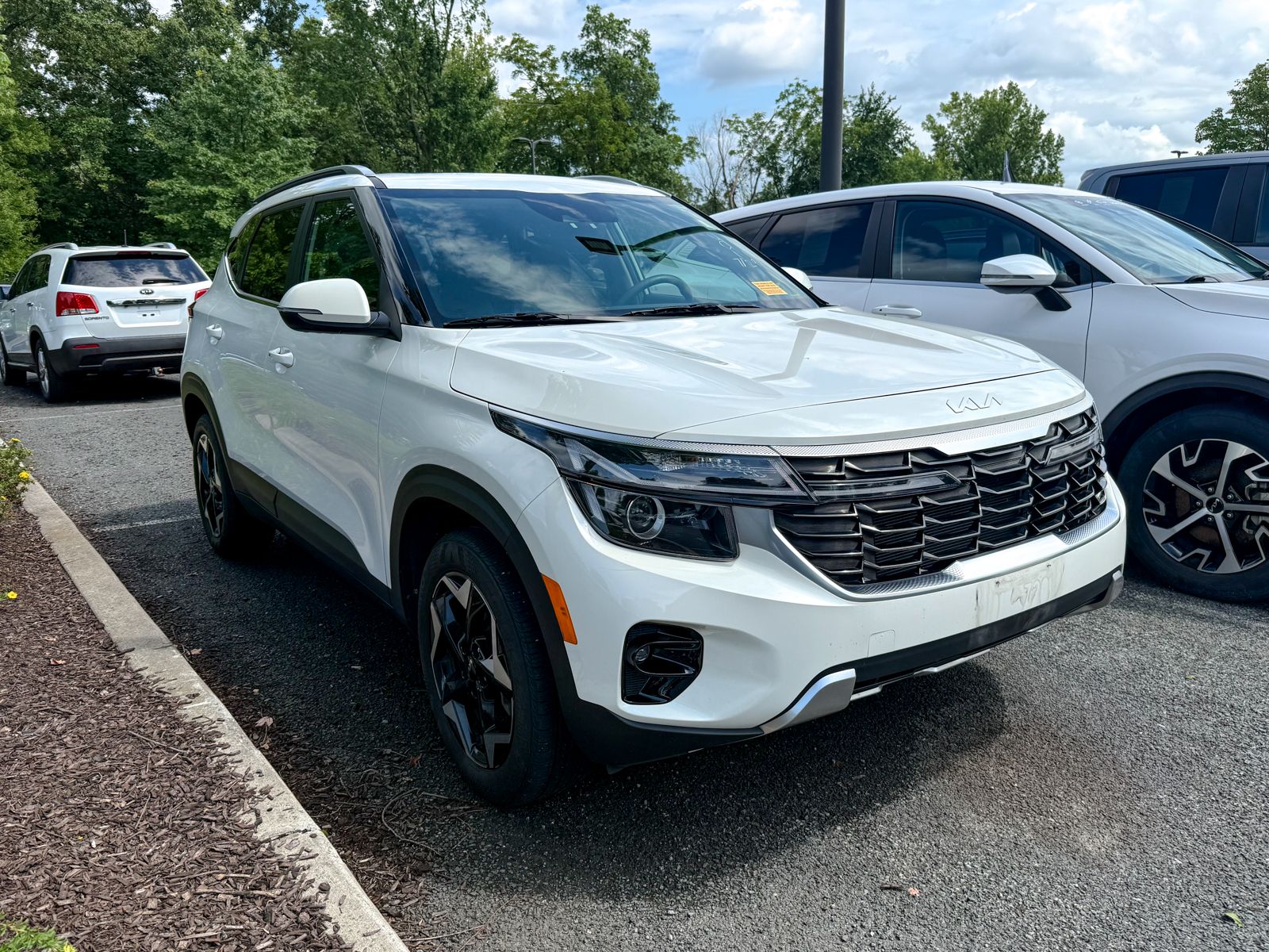 Photo view of 2024 Kia Seltos in White