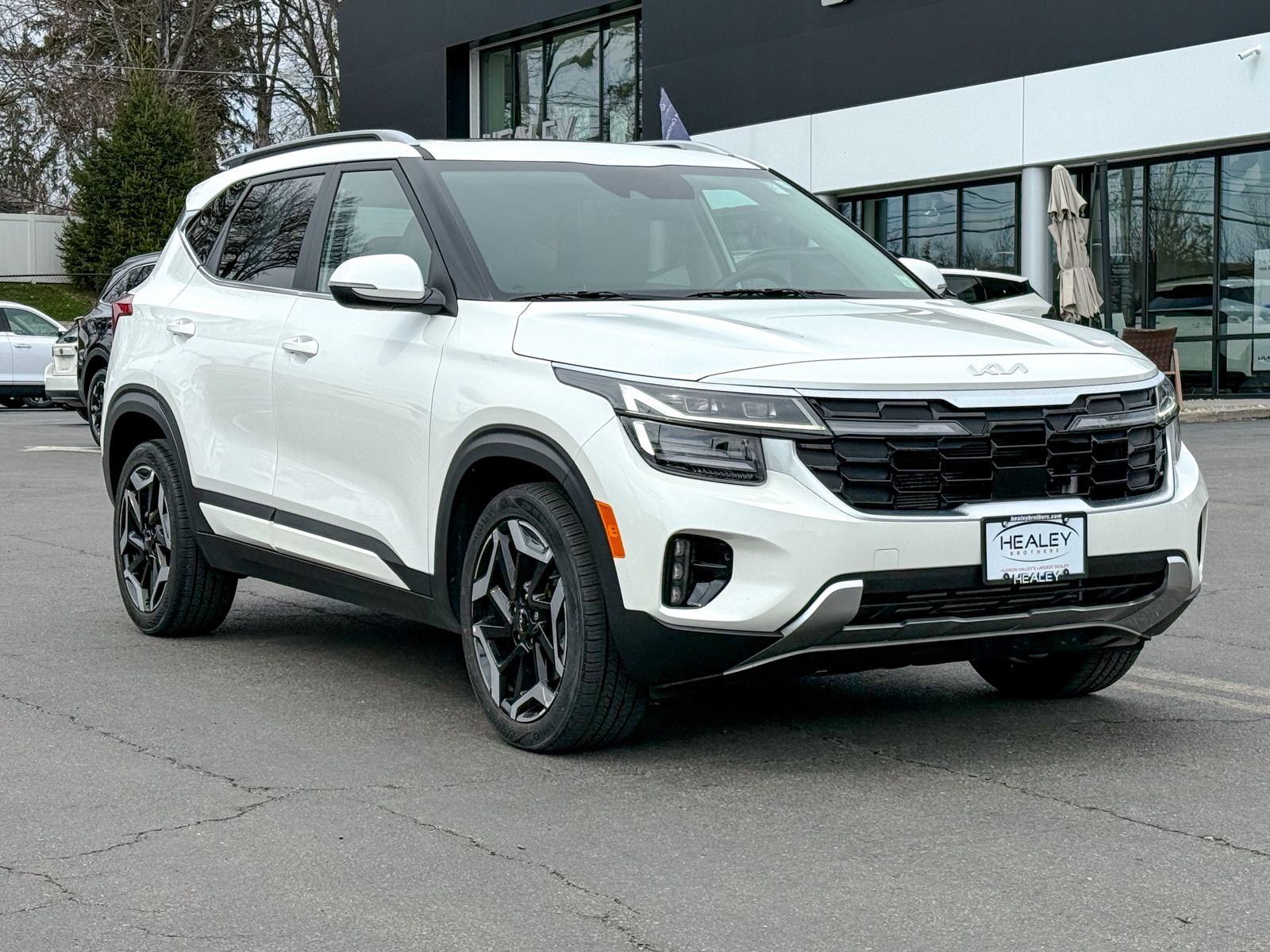 Photo view of 2024 Kia Seltos in White