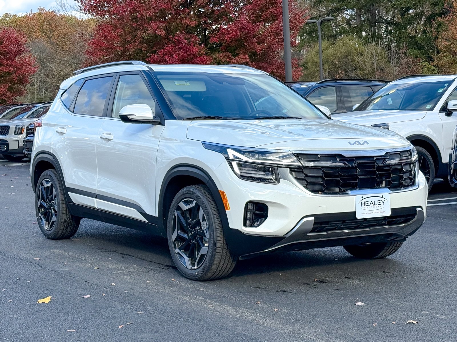 Photo view of 2026 Kia Seltos in White