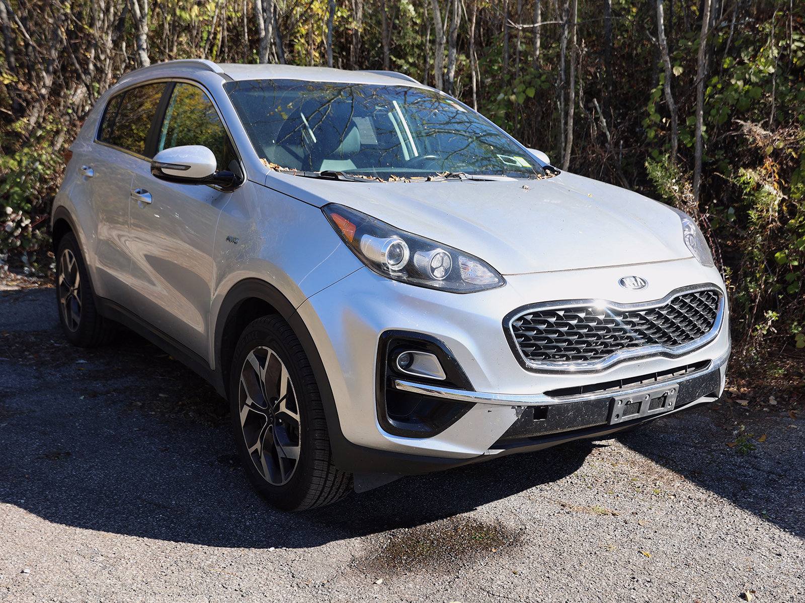 Photo view of 2020 Kia Sportage in Silver