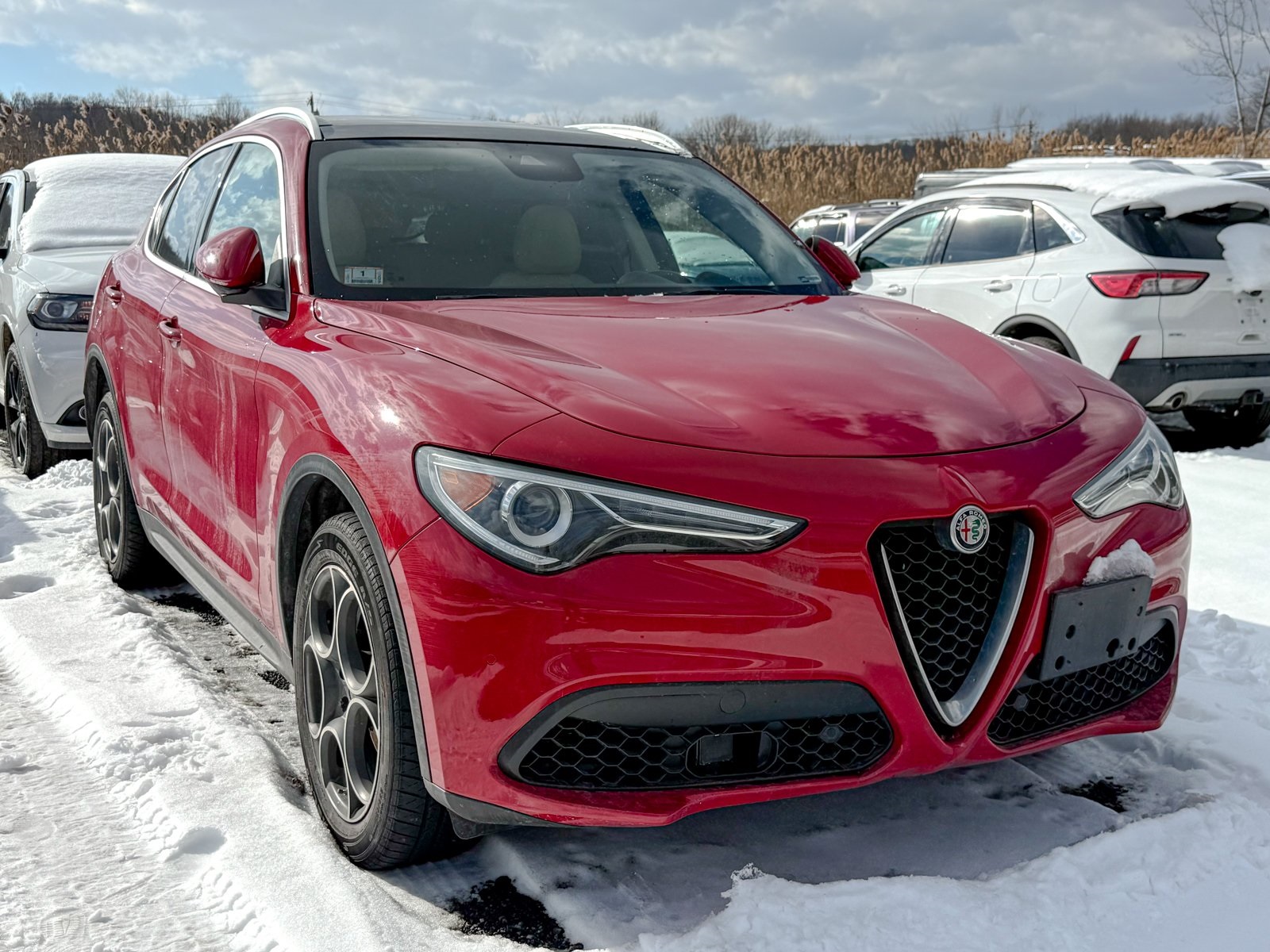 Photo view of 2019 Alfa Romeo Stelvio in Red