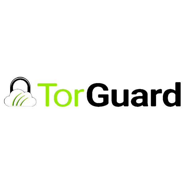 vpn-logo-of-torgurad