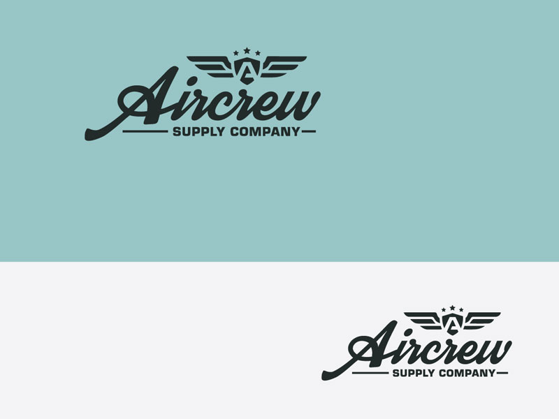 Aviation Logo Design by Ena