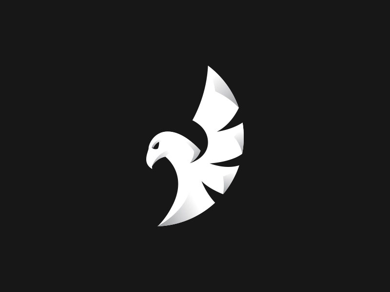 Falcon Logo Design by Cajvanean Alexandru