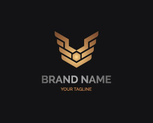Hexagon Logo Design by Alexxx
