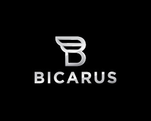 Silver Logo Design by Radu