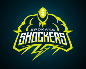 Thunder Logo Design by Matthiason