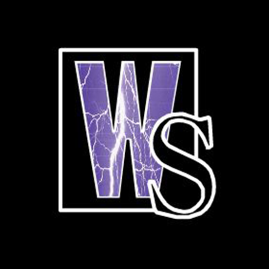 famous-comic-logo-of-wildstorm