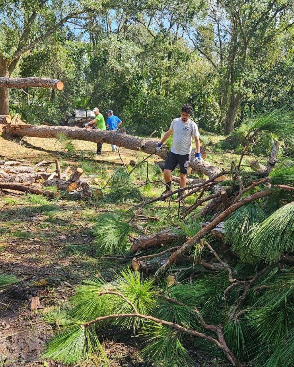 Crisis Response staff clearing trees north of Tampa Bay, Florida.