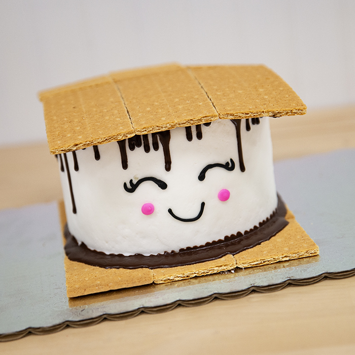 Cute S'more Cake, Cute S'more Cake elé Cake Co.