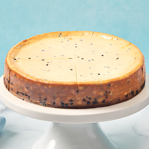 Chocolate Chip Cheesecake